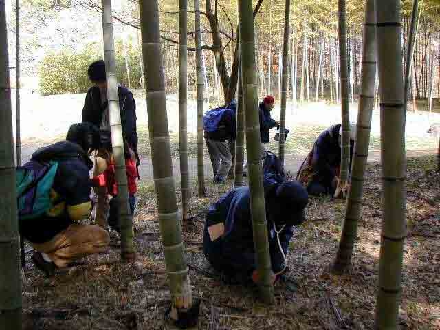 �^�P�̌ۓ����������܂����H