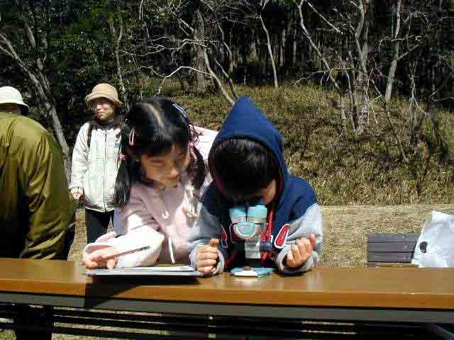 �~�N���̐��E�͐�����