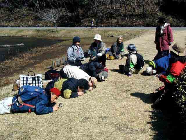 �~�N���n�C�N�F�A���̋C����