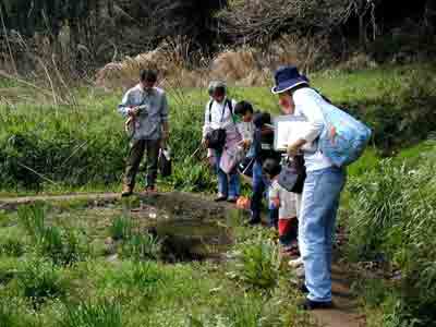 �I�^�}�W���N�V�ɒ���