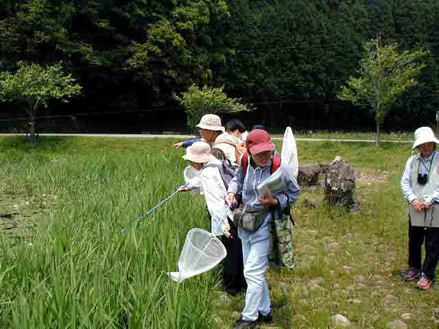 �C�g�g���{�͉�����