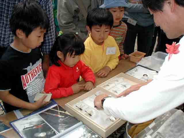 �q�ǂ������̐^���Ȃ܂Ȃ���