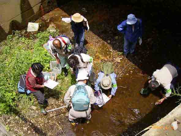 �w�����ɂ��̎撲��