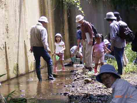 �e�q�Ő�̒����ɎQ��