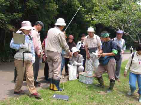 �r�̒�����