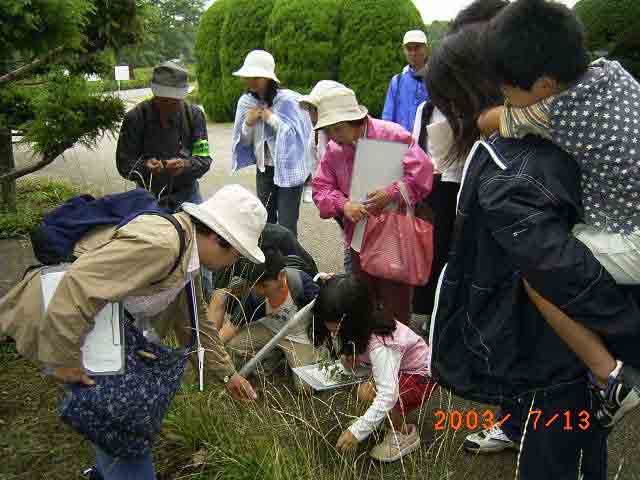 �@�搶�@���̑�����ɂȂ�́H