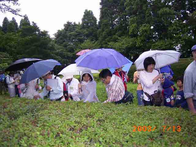 �J���̔M�S�Ȋώ@