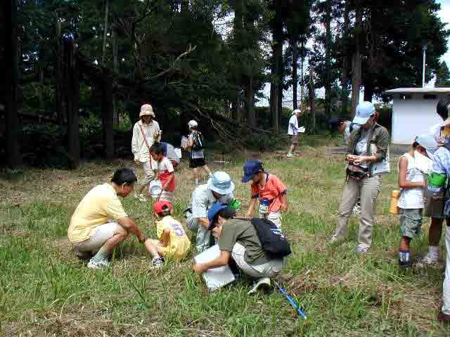 ���ނ�̃��V�B��