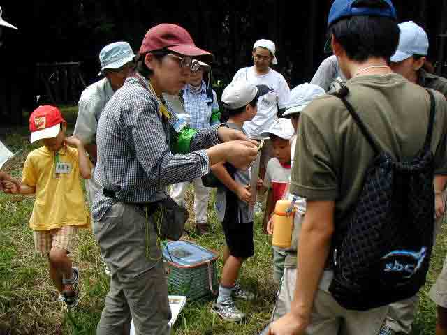 ����Ȃɑ傫�ȃo�b�^�����܂�