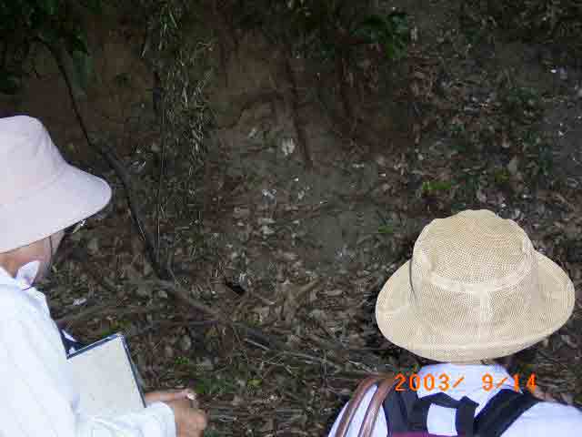 ���a�̐X�̍��w���Ɍ�����L����