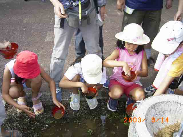 �����H��T�����킢���R�t