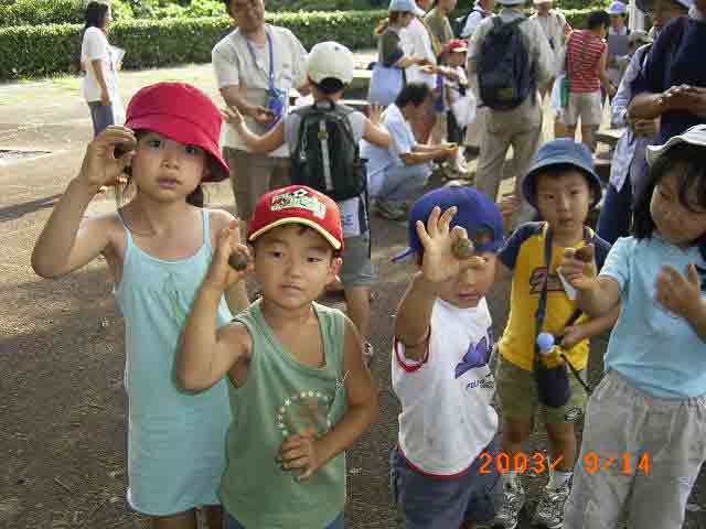 ����Ȃɏ��ɓD���񂲂��ł��܂���