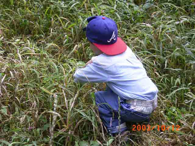 ���͂���ǂ��p�́H