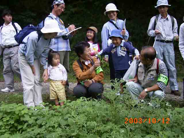 �t�N���X�Y���̗c���̃t���_���X�ɂт�����V