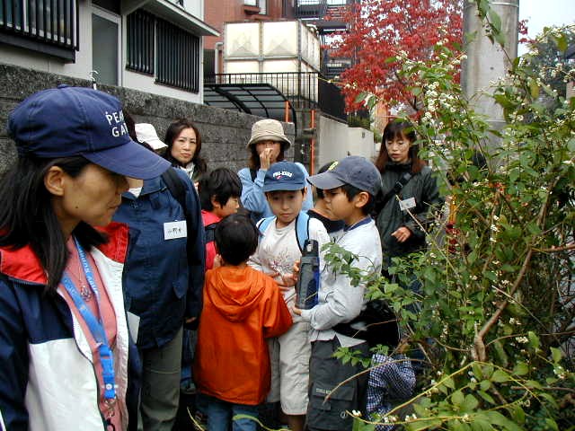 �V���V�u�L�̏ܖ��͂�����