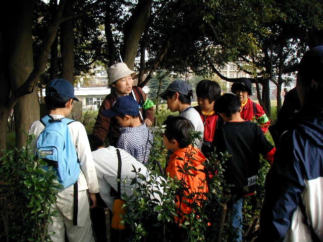 �Â�����L�˂ɂ���ʋ���