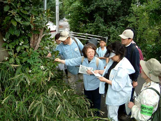 ���̐A���͂Ȃ�ł���