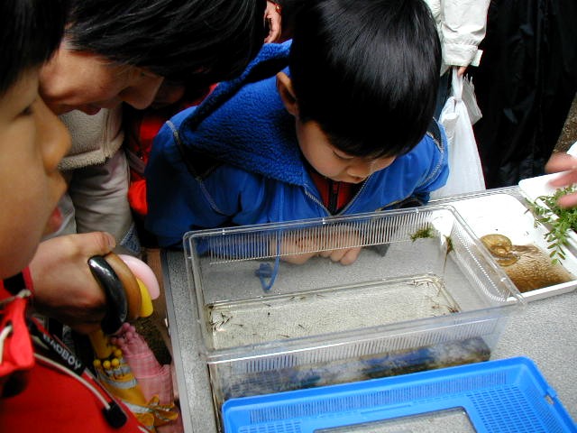 �����������ώ@��