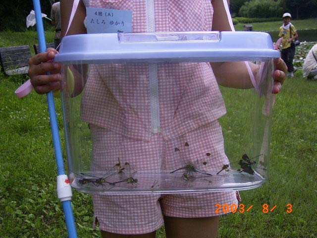 �F�ł����ȃg���{��߂܂��܂���