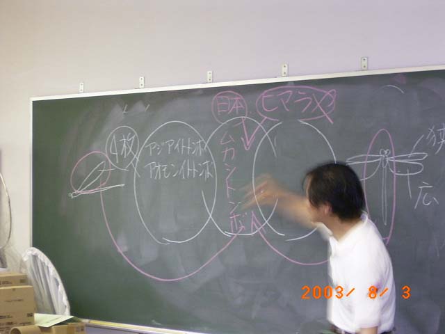 �����Ńg���{�ɂ��Đ�������g���{�̐搶