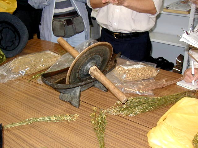 �򌤂Ɩ򑐂Ŋ�����̉��