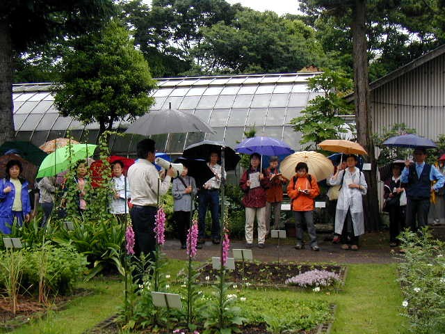 �򑐉��ł̉J���̍u�`