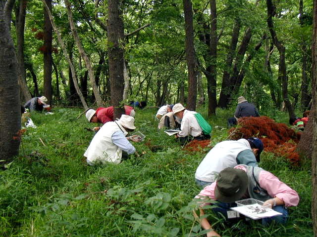 �X�̒��@����������