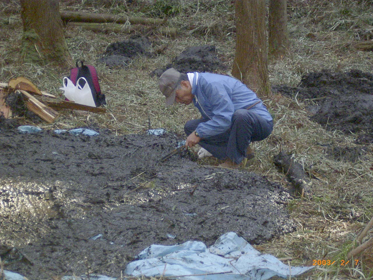 �r�o�D���̐����T��