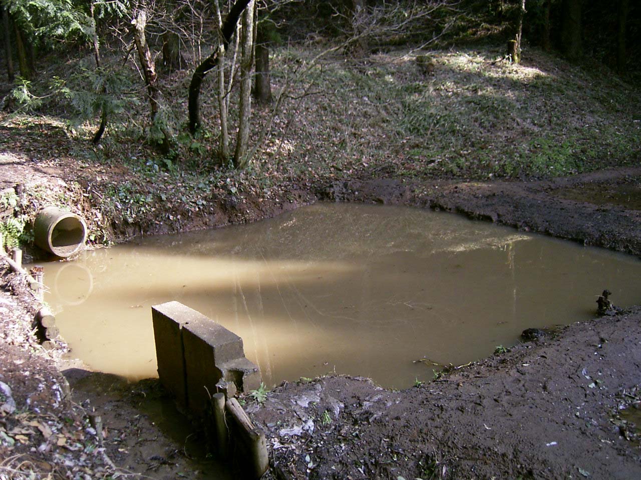 ���֌�̗O���r