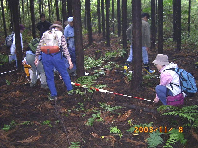 �����Ώ۔͈͂𑪗ʂ��ݒ肷�錤�C��