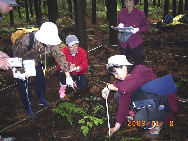 �e�햼���Ƃɍő厩�R���E�A�䗦�𑪒肷��