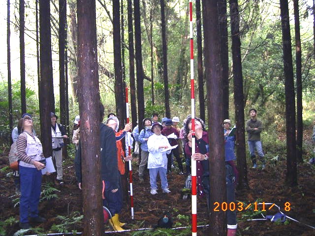 �����E���}�����E�t�Q�����̑���͎͗d���I