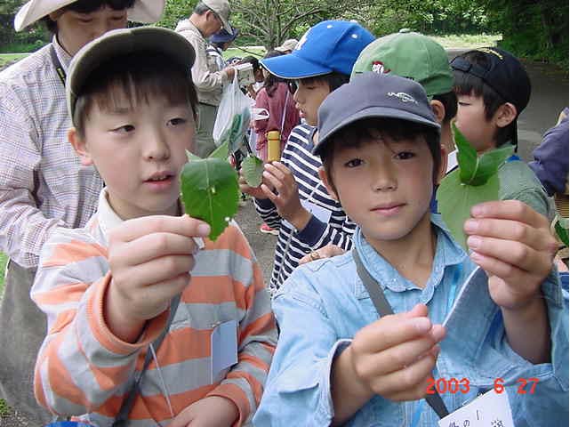 �R�i���̂͂��ςŃ~�~�Y�N���ł���