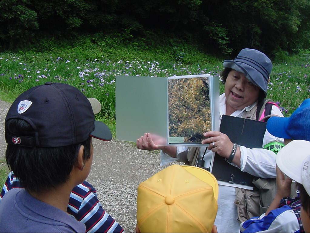 �z�^���͑ۂɗ����Y�ނ̂�