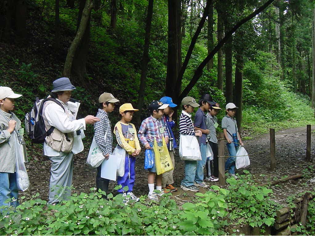 �R�ɍ~�����J���N���ɂȂ��Ă����