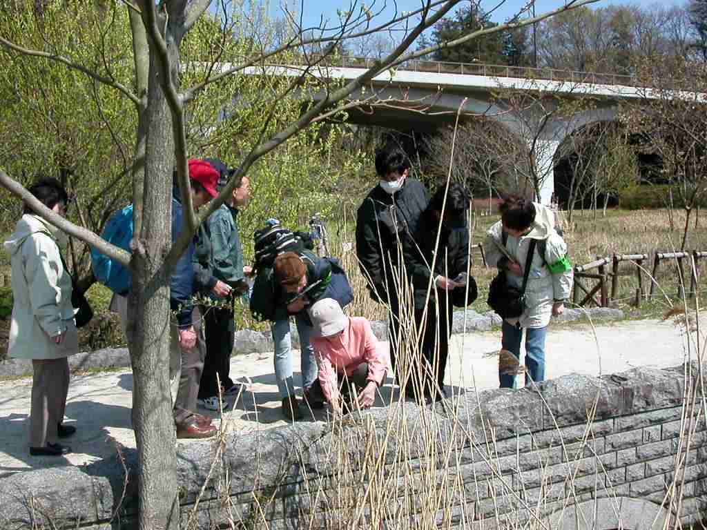 �u���̐F�̓I�I�C�k�m�t�O���̉ԂƓ�������H�v�F�T�������܂����B