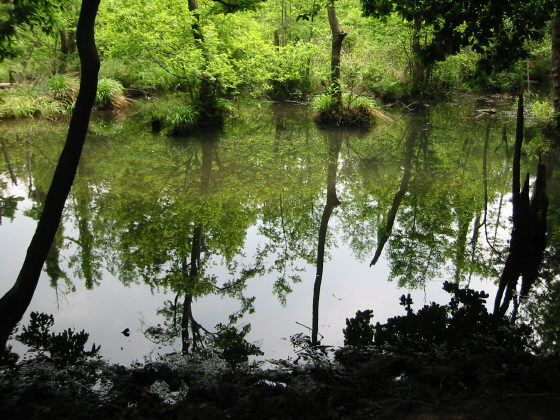 ����Ԃ���r