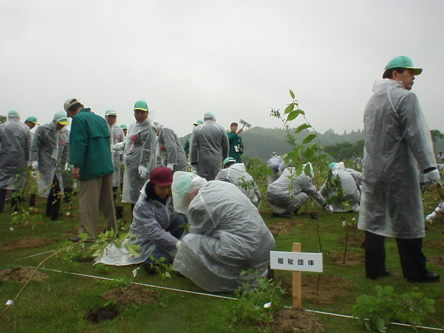 �J�̒��ŁA29��ނ̎�������A���܂���