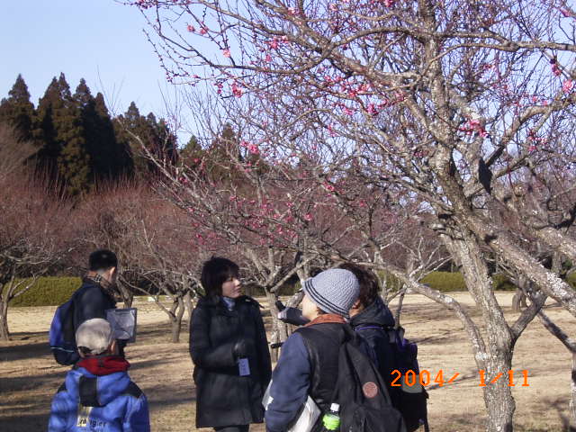 �~�тł��΂��g�~�̍�����y���ގQ���҂̊F����̎ʐ^