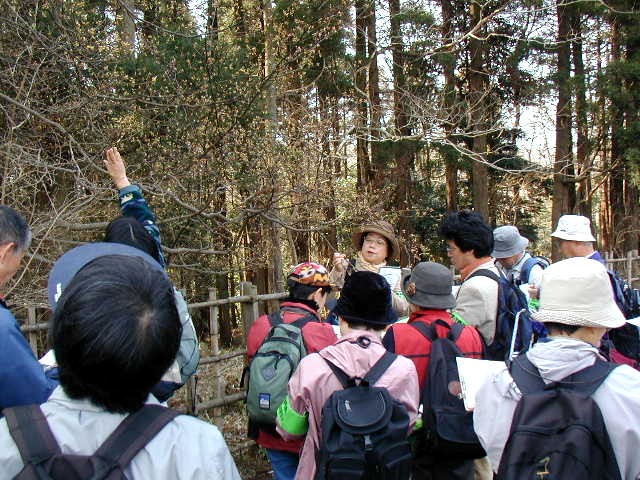 �N�����~�W���Q�͂ӂ����ł��܂���