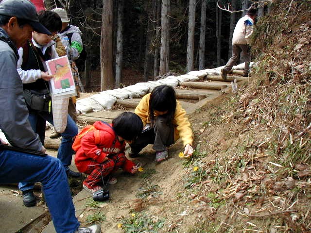 �ꑫ��Ƀ^���|�|�͍炢�Ă��܂�