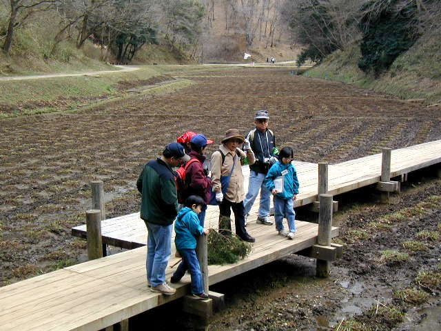 �n�i�V���E�u���V�肪�o�Ă��܂�