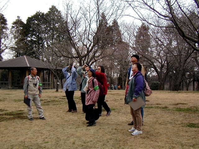 �T�N�����Q���c���ŊJ�Ԃ͉����ł��傤