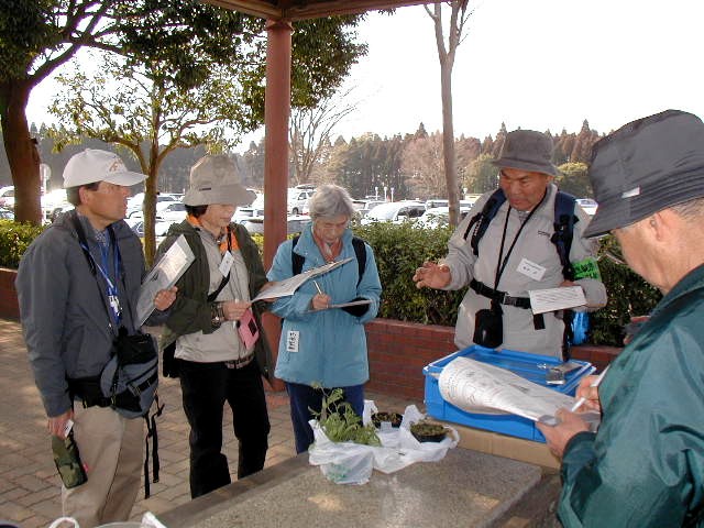 �T���v���̐A�����ςĂ̂ӂ肩����