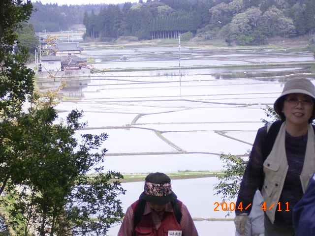 �F��_�Ћ������猩���낷���΂炵���i�ςɊ�������ʐ^