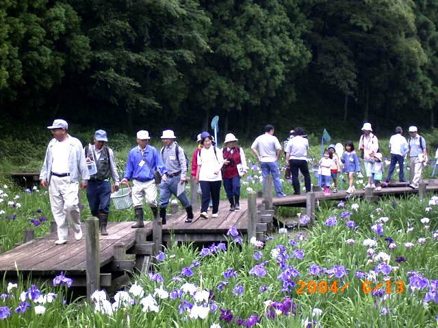 �u���J�̃n�i�V���E�u���Ϗ܂��Ȃ���ώ@�|�C���g�ցv�̎ʐ^