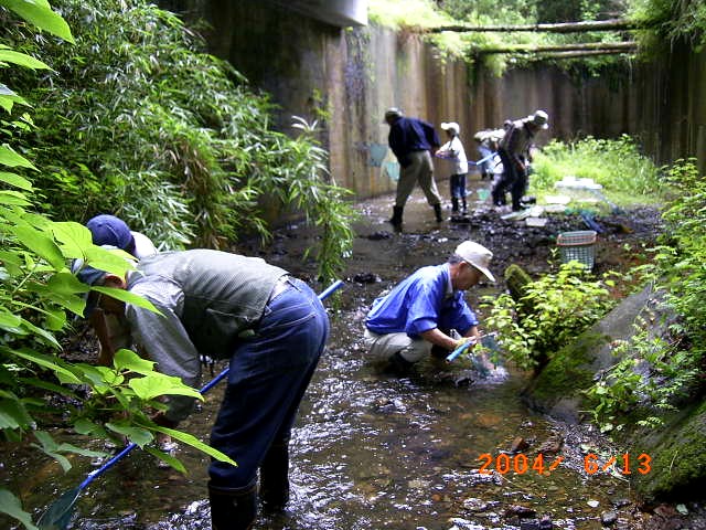 �u������̊ώ@�|�C���g�Ő�̒��Ԃ�����T���Q���ҁv�̕��i�ʐ^