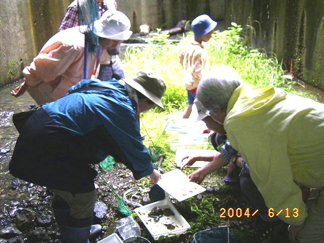 �u�������鐶�����ł��̐�̂��ꂢ�����킩��܂���v�̕��i�ʐ^