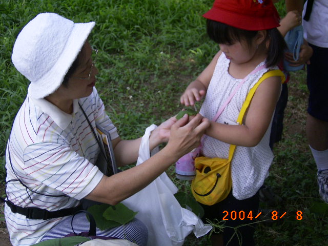 �u���΂������@�N�Y�̗t�e�b�|�E��Ȃ���H�v�̊������i�ʐ^