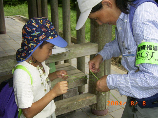 �u�J���c���N�T�ł̑����肢�@�ڂ��Ƃ̑����́H�v�̊������i�ʐ^